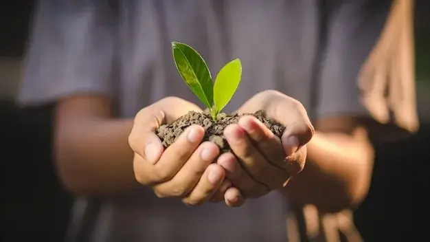Hands holding a young plant, symbolizing sustainable travel.